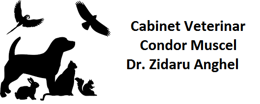 Cabinet Veterinar Condor Muscel - Dr. Zidaru Anghel