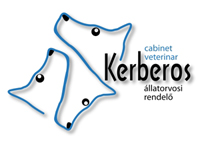 Cabinet Veterinar KERBEROS - Brasov