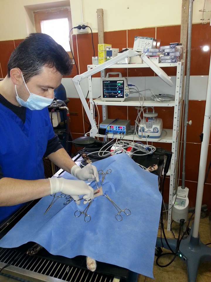 Medical Veterinar, Consultatii, Vaccinari, Deprarazitari