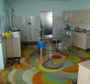 Clinica Veterinara MINIVET - Piatra Neamt