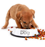 Alimentatia corecta a cainilor