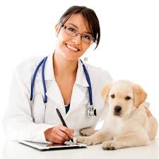 Alegerea medicului veterinar