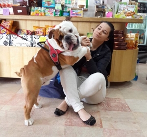 Cabinet Veterinar Prolife Vet - Dr. Brisan Minodora