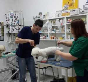 Cabinet Veterinar Prolife Vet - Dr. Brisan Minodora
