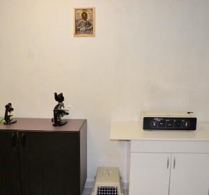 Clinica Veterinara SaniVet - Medias