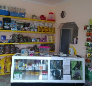 Clinica Veterinara SaniVet - Medias