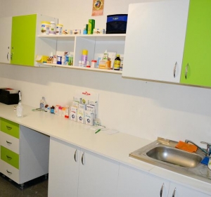 Clinica Veterinara SaniVet - Medias