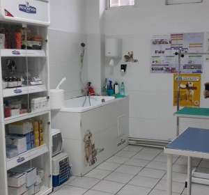 Cabinet Veterinar Prolife Vet - Dr. Brisan Minodora