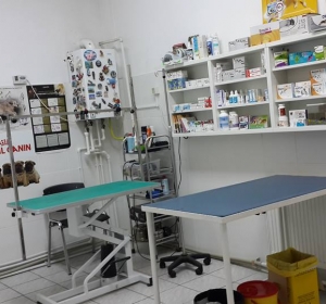 Cabinet Veterinar Prolife Vet - Dr. Brisan Minodora