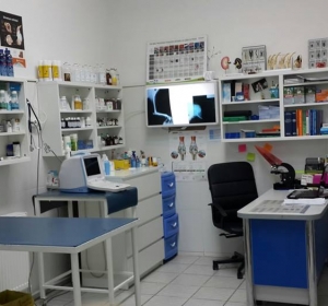 Cabinet Veterinar Prolife Vet - Dr. Brisan Minodora