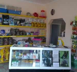 Clinica Veterinara SaniVet - Medias