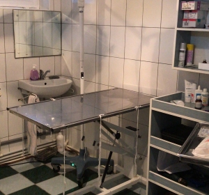 Clinica Veterinara ZooVet - Slobozia