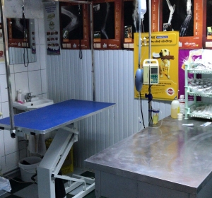 Clinica Veterinara ZooVet - Slobozia