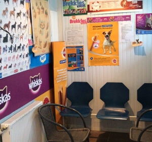 Clinica Veterinara ZooVet - Slobozia