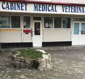 Clinica Veterinara ZooVet - Slobozia