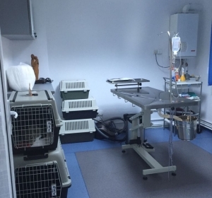 Cabinet Veterinar & Farmacie Veterinara  Campina - Pet Shop