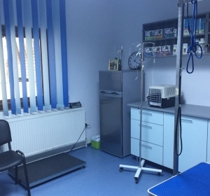 Cabinet Veterinar & Farmacie Veterinara  Campina - Pet Shop