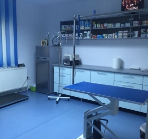 Cabinet Veterinar & Farmacie Veterinara  Campina - Pet Shop