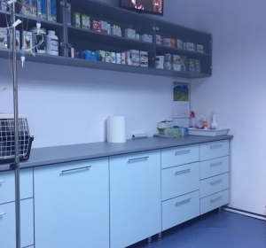 Cabinet Veterinar & Farmacie Veterinara  Campina - Pet Shop