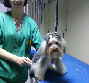 Cabinet veterinar Vet Consult - Braila