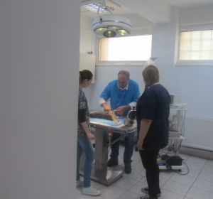 Cabinet Veterinar Comivet