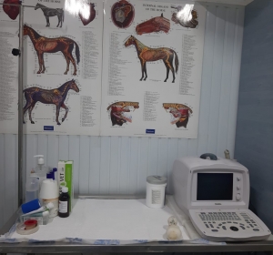 Clinica Veterinara ZooVet - Slobozia